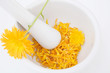 Calendula in mortar, close-up