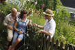 Couple sitting on bicycle, talking to neighbor