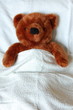 sick teddy bear with injury in a bed in the hospital sick teddy bear with injury in a bed in the hospital