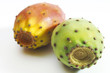 Prickly pear cactus, close-up