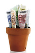 Euro notes in flower pot