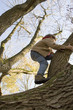 Boy (6-7) climbing tree, low angle view