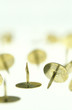 Thumbtacks, close-up