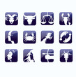 Zodiac signs blue vector