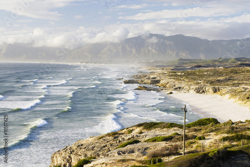 Photo: Südafrika, Gansbaai, Walker Bay Nature 'Reserve Südafrika, Gansbaai, Walker Bay Nature 'Reserve