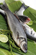 Fresh fish, loup de mer on banana leaves