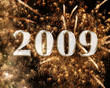 2009-24