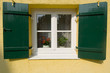 Germany, Bavaria, Munich, Schwabing, Houseplants in window