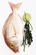 Fresh fish, gilthead with seaweed, elevated view