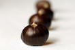 Chestnuts (Castanea), close-up