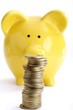 Pile of coins against yellow piggy bank
