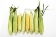 Fresh corncobs