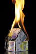 House of Euro notes burning