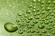 beautiful macro image of droplets in green