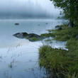 Grass, lake and fog