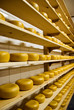 Traditional Dutch cheese called Gouda