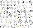 Floral vector element