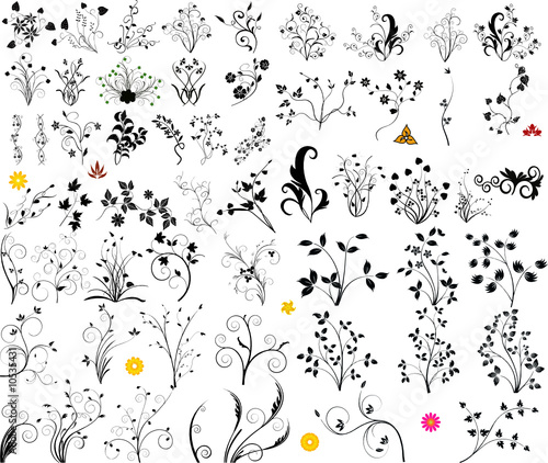 Floral vector element
