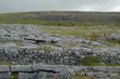 paysage de pierre