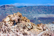 Lonely girl standing on the top of the mountain