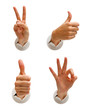 part of a series of hand images isolated over white part of a series of hand images isolated over white