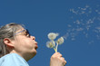 Pusteblume