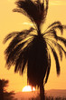 tramonto,-egitto