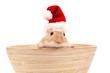 weihnachtsmäuse