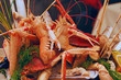 Shrimps