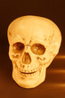 Totenkopf