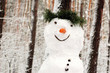 snowman