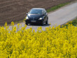 Raps mit Auto