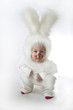 Photo: Bunny Bunny