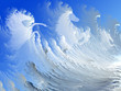 White horses