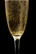 Flute with sparkling champagne against black background.
