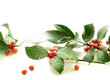 Photo en ligne au meilleur prix Hollysnow