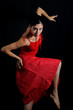 Flamenco dancer