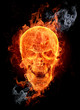 Photo en ligne au meilleur prix Fire skull