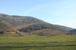 pyrénnées