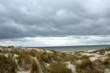 dunes