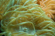 Photo: monde du silence monde du silence