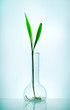 New life