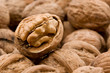 walnut