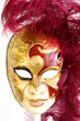 venetian mask on white background