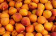 étal d’abricots au marché étal d’abricots au marché