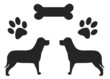 Dog and Dog bone