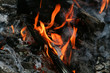 Closeup of Fire Flames