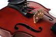 ..Violin