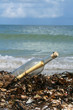 Message in a bottle