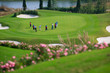 golf course and flower field